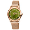 Ferre Milano Fashion FM1L125M0271 2 Đồng hồ Ferre Milano Fashion FM1L125M0271 chính hãng cho Nữ