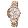 Roberto Cavalli RC-74 RV2L022M0066 6 Đồng hồ Roberto Cavalli RC-74 RV2L022M0066 chính hãng cho Nữ