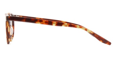 Gọng kính Barton Perreira Banks BP5007/V 0LY