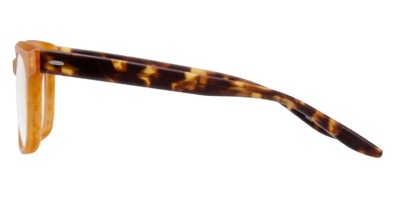 Gọng kính Barton Perreira Chisa BP5280 2MR