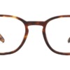 Gọng kính mắt Barton Perreira Woody BP5053 1IQ chính hãng