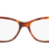 Gọng kính mắt Calvin Klein CK22501 220 chính hãng