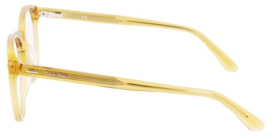 Gọng kính Calvin Klein CK22504 260