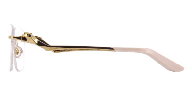 Gọng kính Cartier CT0120O 002