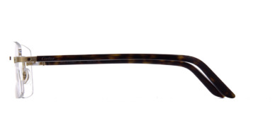 Gọng kính Cartier CT0216OA 003