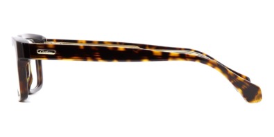 Gọng kính Cartier CT0291O 002