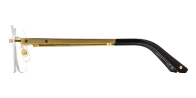 Gọng kính Cartier CT0407O 001