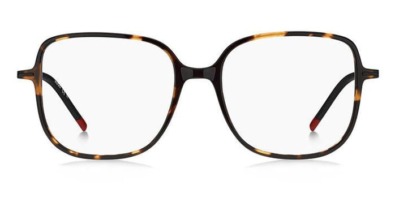 Gọng kính mắt Hugo Boss Hugo HG1239 0UC chính hãng