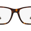 Gọng kính mắt Ralph Lauren RL6141 5003 chính hãng