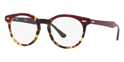 Gọng kính Ray-Ban EagleEye RB 5598 8250 chính hãng