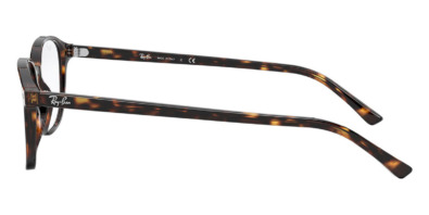 Gọng kính Ray-Ban Leonard RB 5393 2012