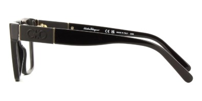 Gọng kính Salvatore Ferragamo SF2919 001