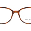 Gọng kính mắt Ted Baker Harlow 9241 109 chính hãng