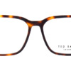 Gọng kính mắt Ted Baker Rowe 8209 106 chính hãng