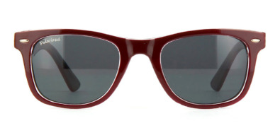 Kính mát (kính râm) Carnegie Sunoptic SP112E Polarised chính hãng