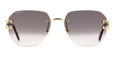 Kính mát (kính râm) Cartier CT0394S 001 chính hãng