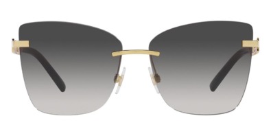 Kính mát (kính râm) Dolce&Gabbana DG2289 02/8G chính hãng