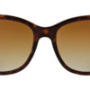 Kính mát (kính râm) Emporio Armani EA4060 5026/T5 Polarised chính hãng