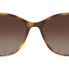 Kính mát (kính râm) Emporio Armani EA4073 5026/13 chính hãng