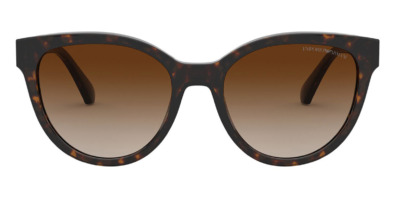 Kính mát (kính râm) Emporio Armani EA4140 5089/13 chính hãng