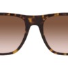 Kính mát (kính râm) Emporio Armani EA4163 5879/13 chính hãng