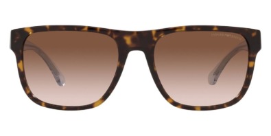 Kính mát (kính râm) Emporio Armani EA4163 5879/13 chính hãng