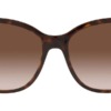Kính mát (kính râm) Emporio Armani EA4173 5002/13 chính hãng