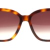 Kính mát (kính râm) Longchamp LO696S 230 chính hãng