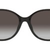 Kính mát (kính râm) Michael Kors Alexandria MK2152U 3005/8G chính hãng
