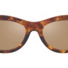 Kính mát (kính râm) Michael Kors Rio MK2160 3006/7P chính hãng