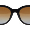 Kính mát (kính râm) Moncler ML0076 05F Shiny Black on Brown chính hãng