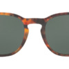 Kính mát (kính râm) Polo Ralph Lauren PH4099 5618/71 chính hãng
