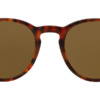 Kính mát (kính râm) Polo Ralph Lauren PH4110 5017/73 chính hãng