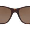 Kính mát (kính râm) Polo Ralph Lauren PH4128 5602/73 chính hãng