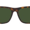 Kính mát (kính râm) Polo Ralph Lauren PH4167 5003/71 chính hãng