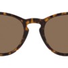 Kính mát (kính râm) Polo Ralph Lauren PH4172 5954/73 chính hãng