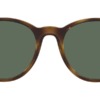 Kính mát (kính râm) Polo Ralph Lauren PH4176 5003/71 chính hãng