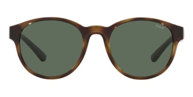 Kính mát (kính râm) Polo Ralph Lauren PH4176 5003/71 chính hãng