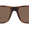 Kính mát (kính râm) Polo Ralph Lauren PH4195U 6070/73 chính hãng