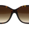 Kính mát (kính râm) Ralph Lauren RL8127B 5003/13 chính hãng