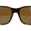Ralph Lauren RL8142 5003/83 Polarised 6 Kính mát (kính râm) Ralph Lauren RL8142 5003/83 Polarised chính hãng