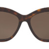Kính mát (kính râm) Ralph Lauren RL8175 5003/73 chính hãng