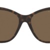 Kính mát (kính râm) Ralph Lauren RL8190Q 5003/73 chính hãng