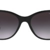 Kính mát (kính râm) Ralph Lauren RL8198U 5001/8G chính hãng