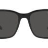 Kính mát (kính râm) Ralph Lauren RL8199 5001/87 chính hãng