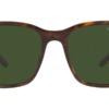 Kính mát (kính râm) Ralph Lauren RL8199 5003/71 chính hãng