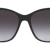 Kính mát (kính râm) Ralph Lauren RL8201 5001/8G chính hãng