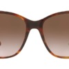 Kính mát (kính râm) Ralph Lauren RL8201 5007/13 chính hãng