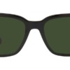 Kính mát (kính râm) Ralph Lauren The RL 50 RL8205 5398/71 chính hãng