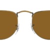 Kính mát (kính râm) Ray-Ban Elon RB 3958 9228/33 chính hãng